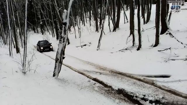 Subaru IMPREZA Forest mud & Hill