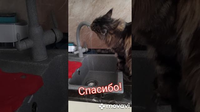 Мейнкун Дуня присит дать ей попить