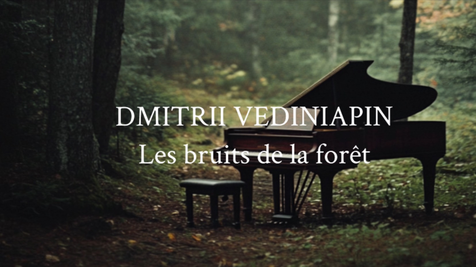 DMITRII VEDINIAPIN - Les bruits de la forêt
(Album pour piano)