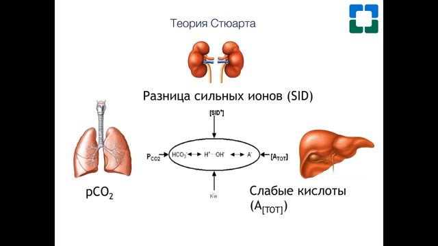 С С Костюченко Кислотно основное состояние, ч 1 10 04 2019