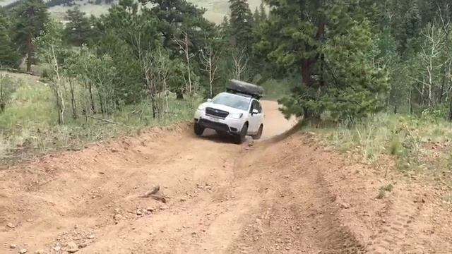 Lifted Forester -- Steep hill CVT momentum killer