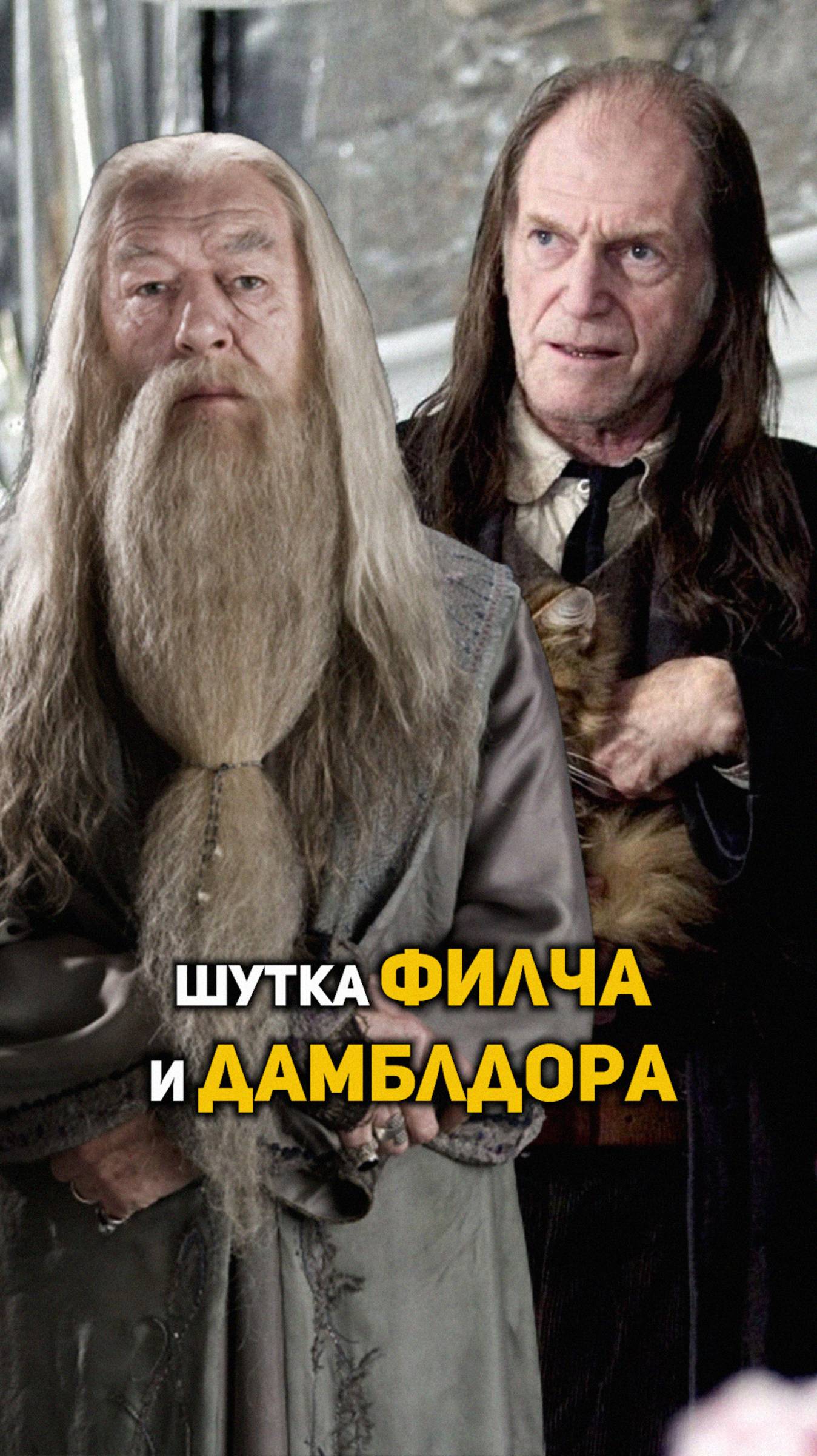 Шутка от Филча и Дамблдора #shorts #гаррипоттер