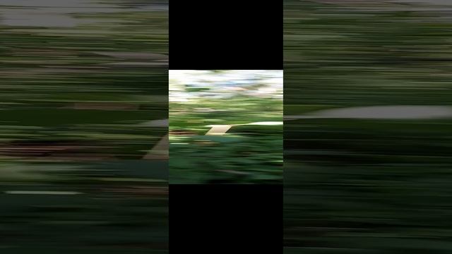 ищу червей #shorts