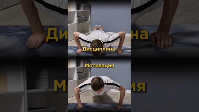 Мотивация или дисциплина?💪