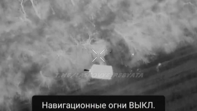 Кадры ночной охоты. январь 2025