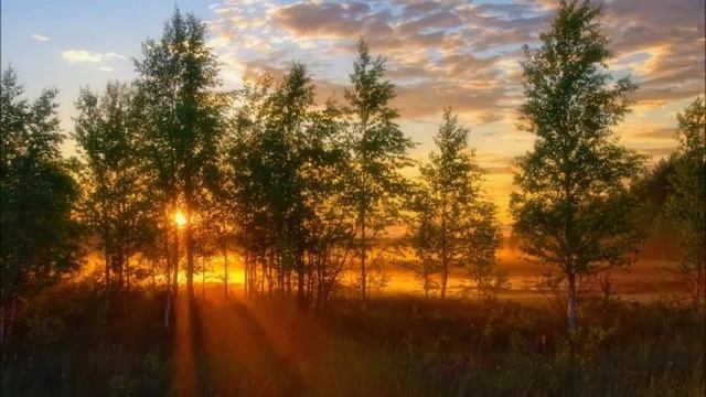 Алькор. Летний вечер