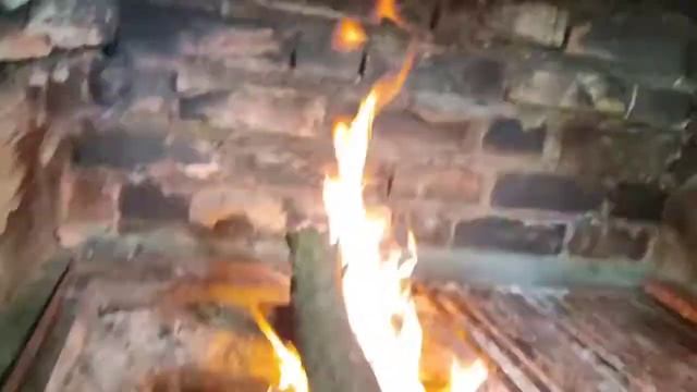 Comiendo Gato Asado en COLOMBIA ¿Cómo preparar gato colombiano?