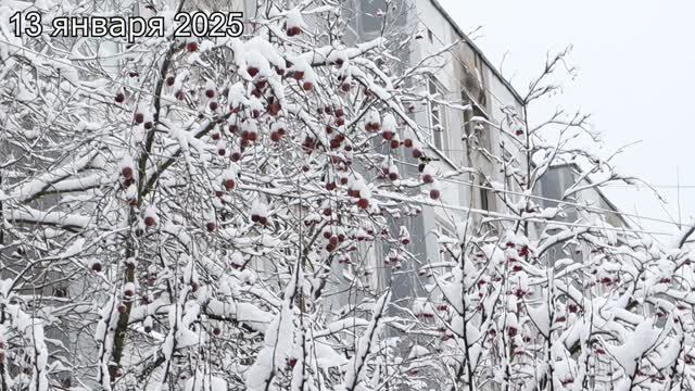 После снегопада 12.01.25.