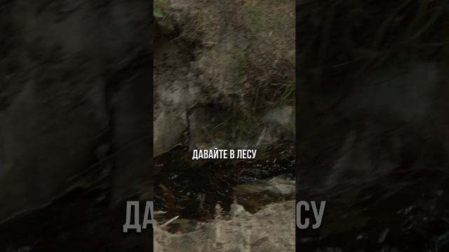 Ручей  #Благояр #Чаша_Сварога #Славное_Братство