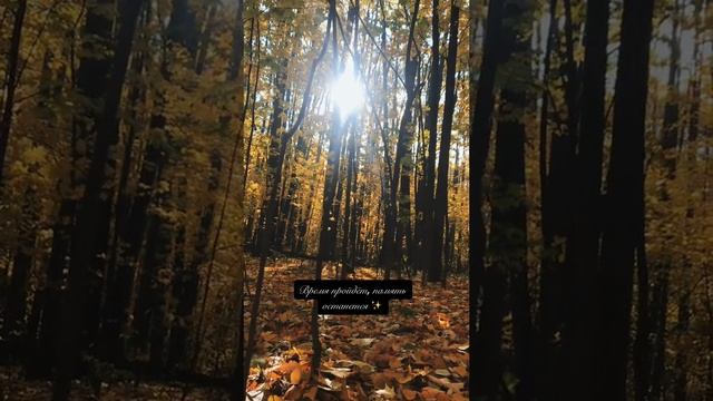✨время слишком быстро летит нужно не упускать свой момент