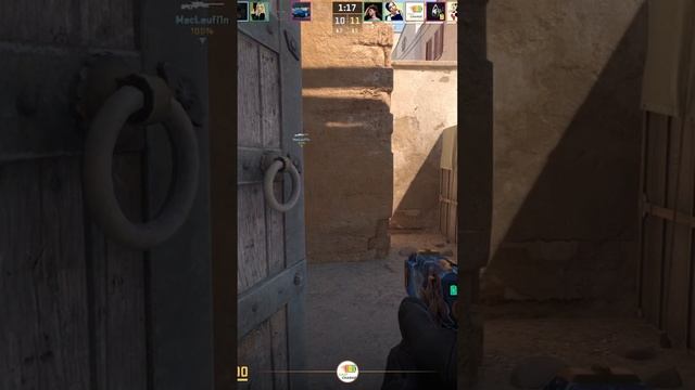 Zeus25011206