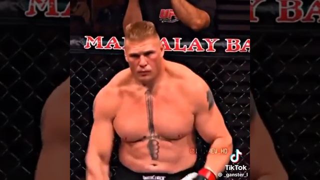 UFC зрелище