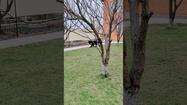 Громушка спортсмен