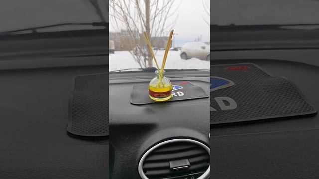 "Вонючка" с новогодним настроением)