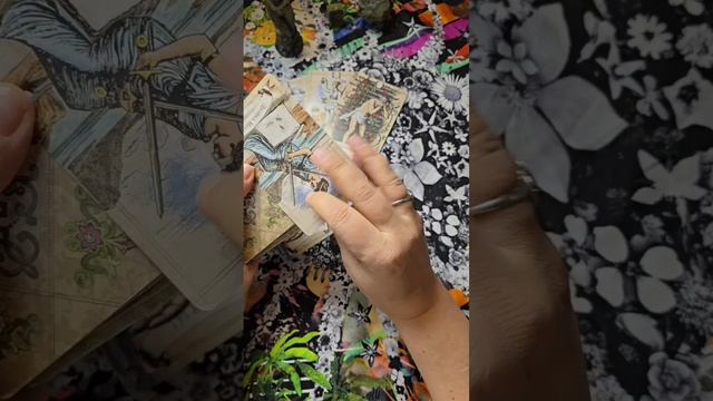 Мысли чувства действие партнера Таро онлайн