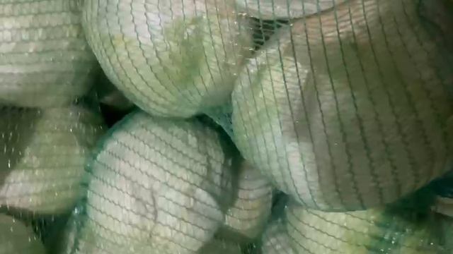 капуста белокочанная