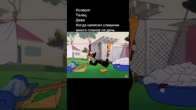 Как у вас с планами? У меня порой также  #астролог #знакизодиака #астрологмари #юмор #психология