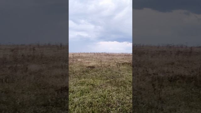 Моменты создания махрищской игрушки и пейзажи Махры.