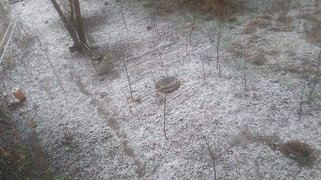 VID_20250113_084748.mp4