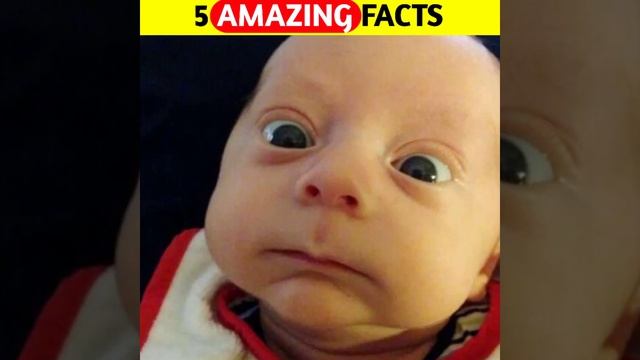 🔥5 most amazing facts😱||#shorts #short#ytshorts #facts#youtubeshorts