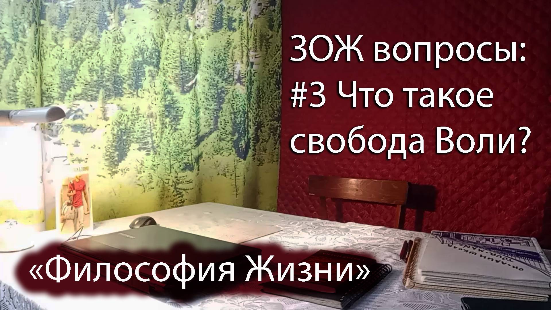 Что такое свобода воли?