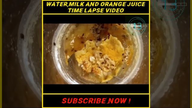 क्या होगा 74 Days Water, Milk And Orange juice को खुल्ला रख दिया जाए ? 🤔😱 #shorts #trending #viral