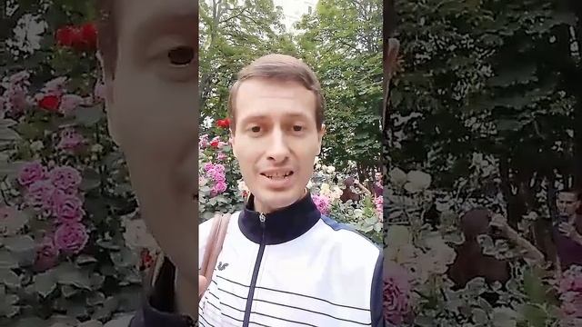 Получите ПОДАРОК! Подборку решений по вашей проблеме