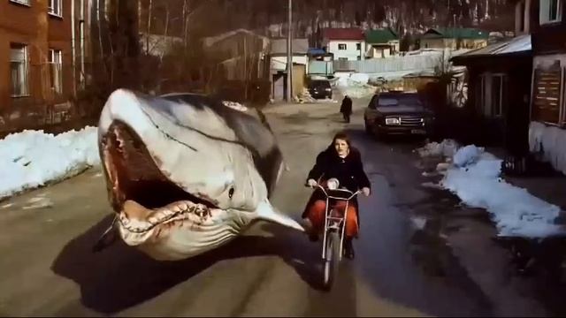 1000074429.mp4
