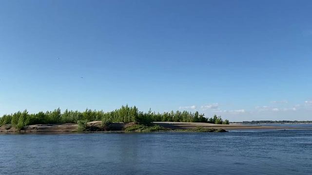 бп Жерех и Василий