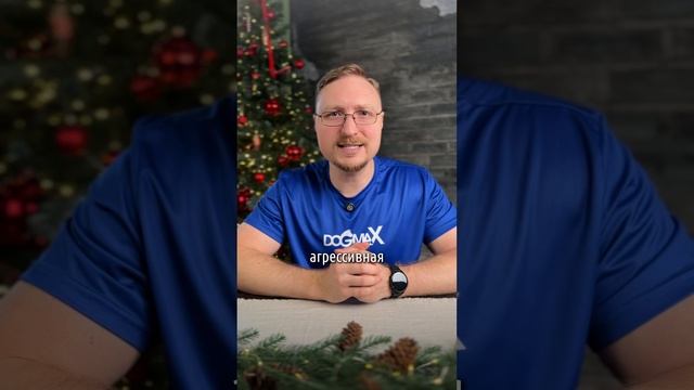 Без этого жизнь собаки неполноценна