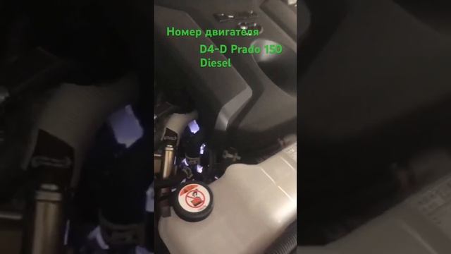 Номер двигателя D4-D Prado diesel