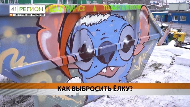 НОВОГОДНИЕ ЁЛКИ НЕПРАВИЛЬНО УТИЛИЗИРУЮТ ЖИТЕЛИ КАМЧАТКИ • НОВОСТИ КАМЧАТКИ