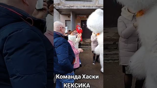 Команда Хаски КЕКСИКА