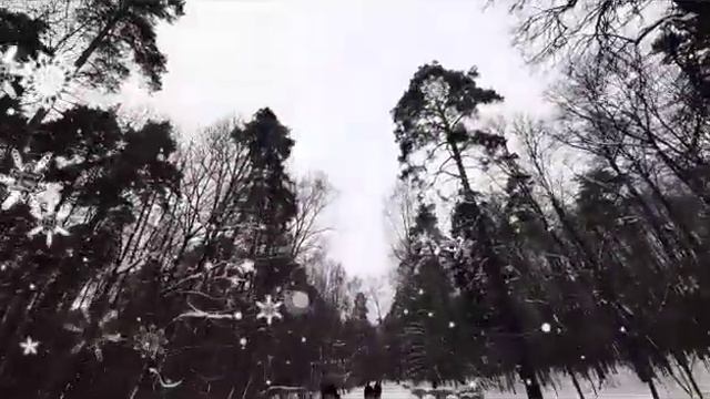 Всем здравствуйте! Снег летит и летит!
