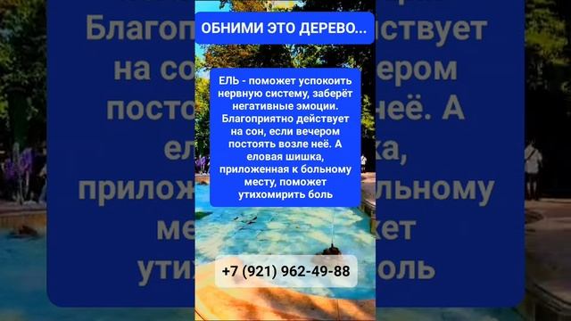 МУДРОСТЬ СТАРЦЕВ  #онлайн #ритуал #shorts #светланаведа