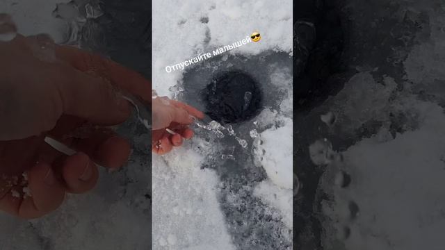 Щука на жерлицу.mp4