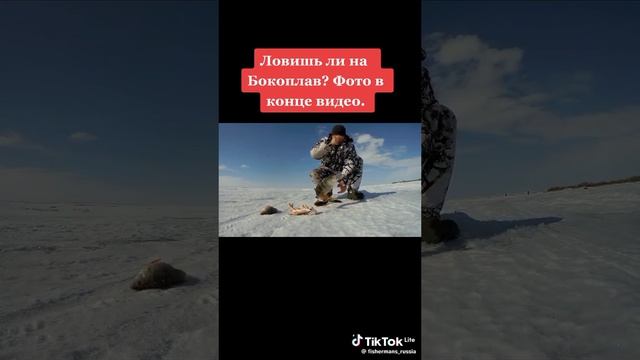 охота и рыбалка