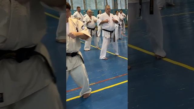 Кёкусинкай / Зимняя Школа ФКР-2025