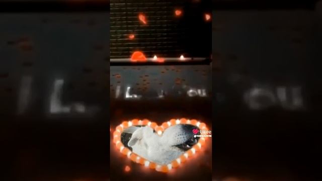 1000010930.mp4