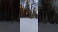 VID-20250112-WA0007
