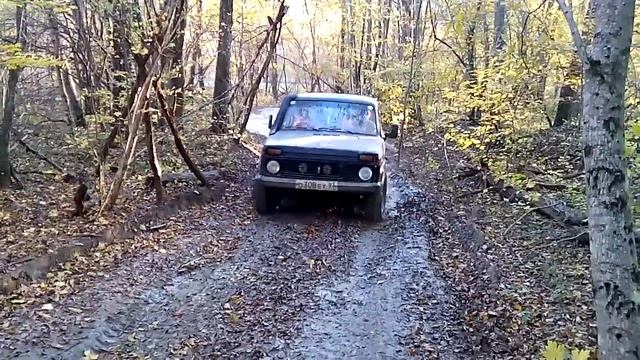 24 ноября 2016 г.(4)
