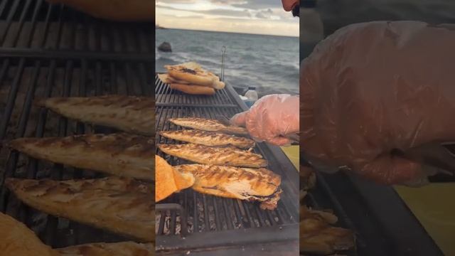 Mudanya’da Balık Ekmek