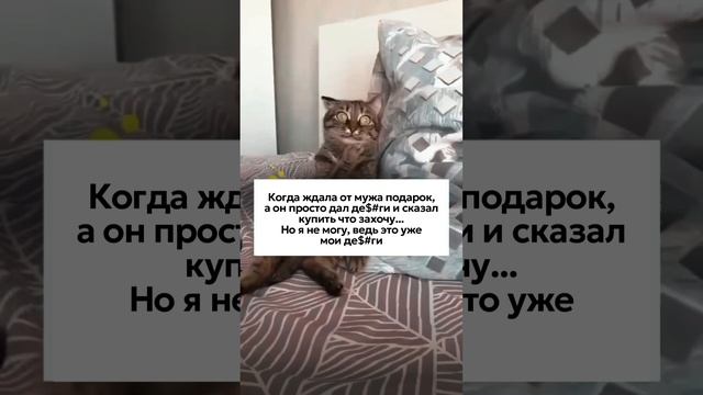 Когда ждала от мужа подарок