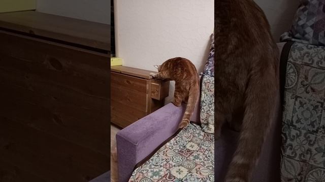Преступление без наказания
