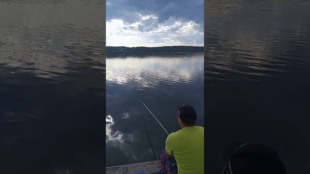 1000015326.mp4