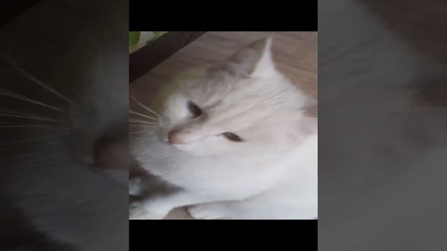 1000016483.mp4