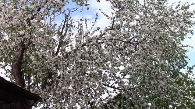 MVI_1395