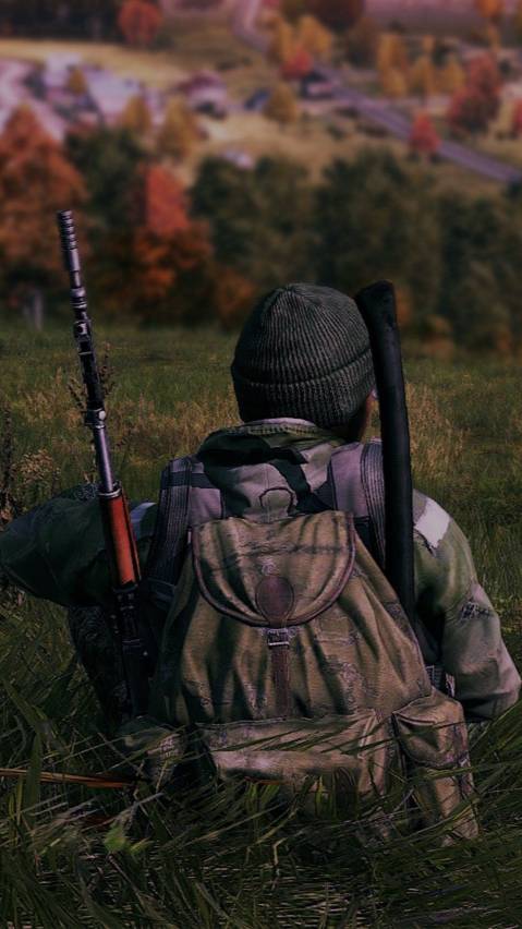 DayZ