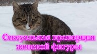 Сексуальная_пропрорция_женской_фигуры_ТОП