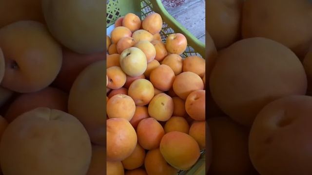 Мы накупили много овощей и фруктов на фудсити, подписывайся в следущем видео раскажу цены по мясу